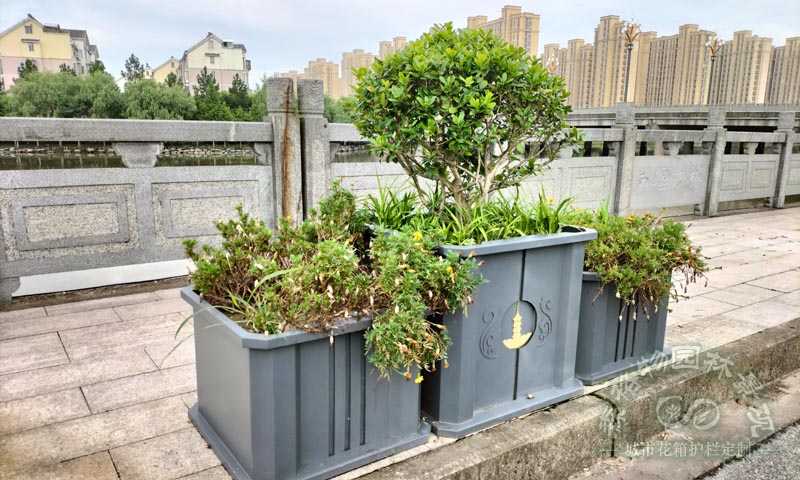 上海花箱案例：不锈钢树池树围花箱案例