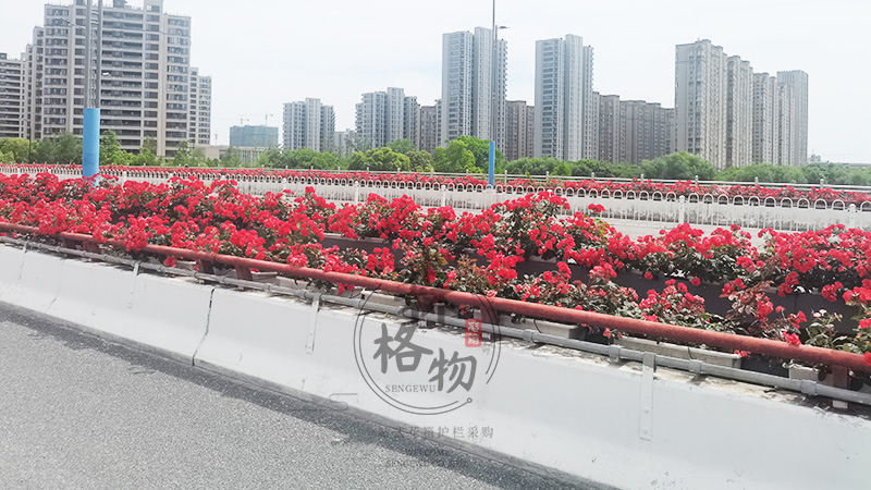 城市桥梁绿化悬挂式花盆绿化方案