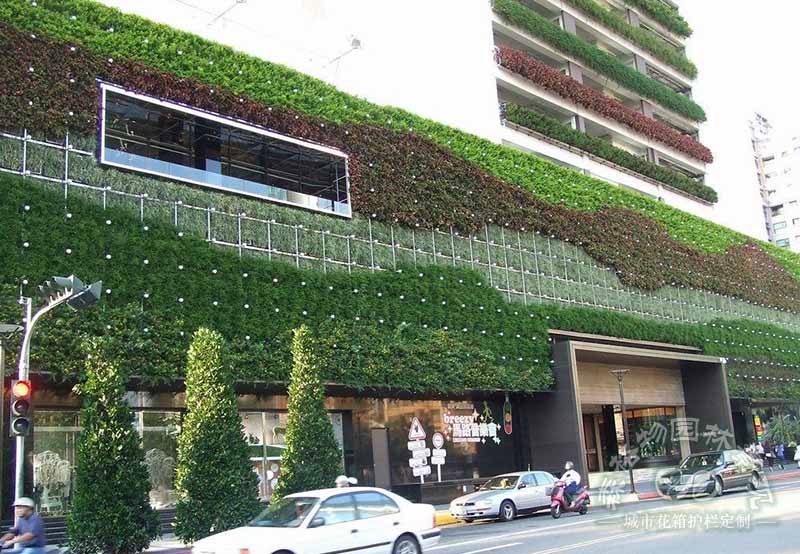 墙体垂直绿化植物的作用 墙体垂直绿化植物的作用