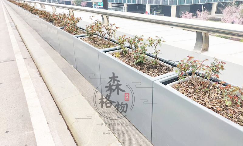 桥梁内侧花箱绿化方案